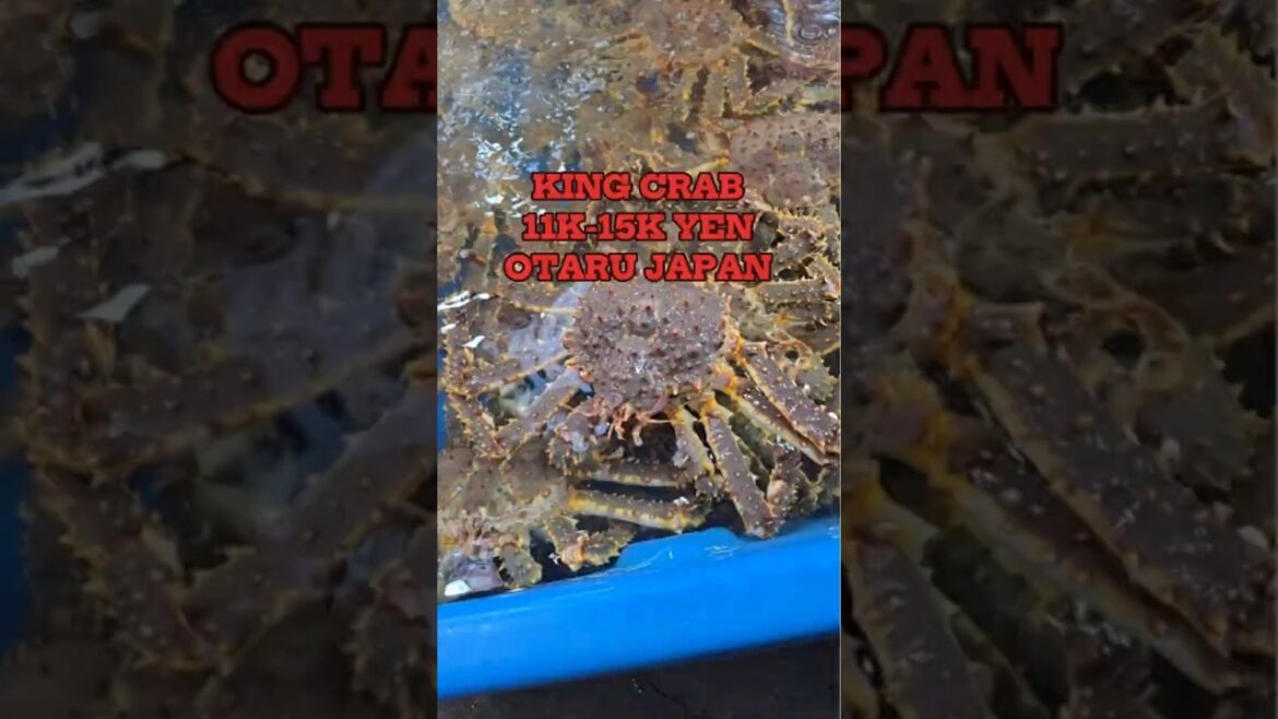 📍Otaru, Hokkaido, Japan. A MUST TRY! #Otaruseafood #otaruseafoodmarket #otarujapan #otaruhokkaido