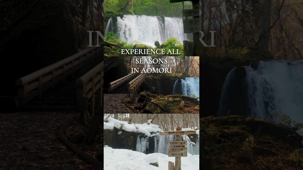 Experience all seasons in Aomori! Check the link in bio to plan your trip