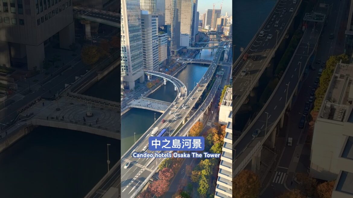 中之島河景房 Candeo Hotels Osaka The Tower
