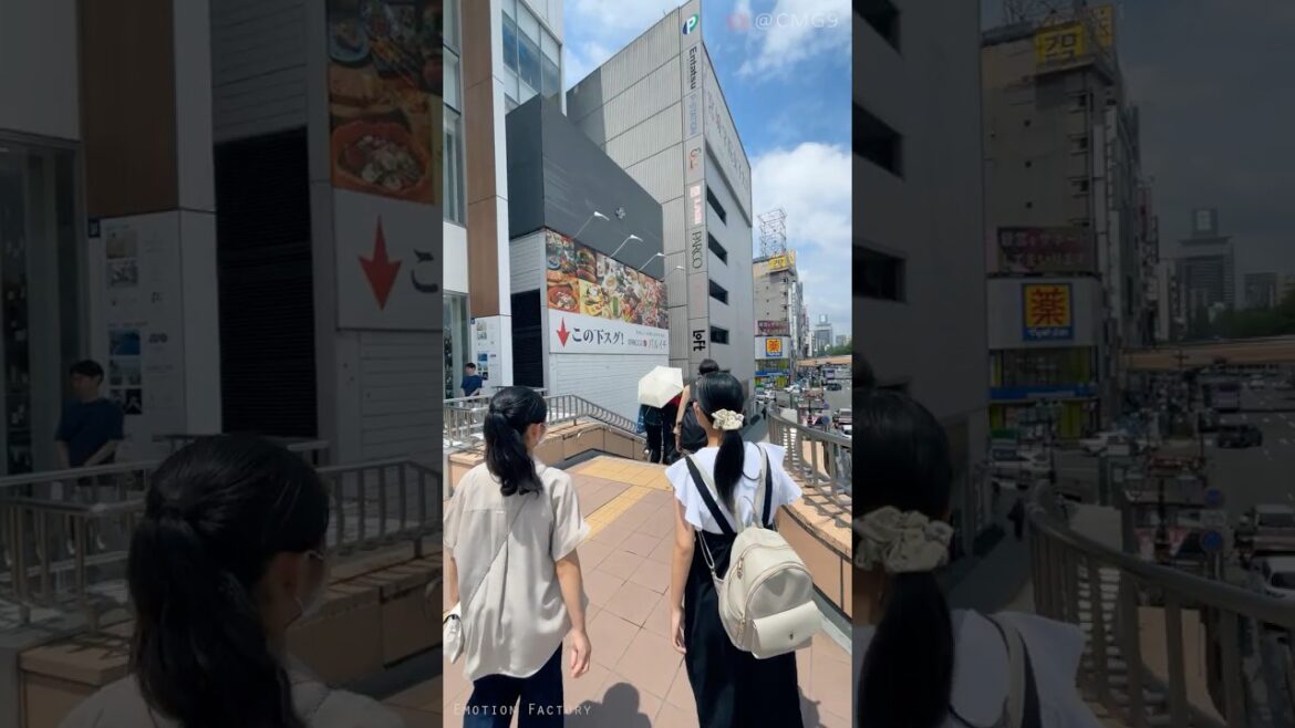 #宮城 #山形 #銀山温泉 #蔵王 #日本東北 #仙台城跡 #宮城 #山形 #銀山温泉 #蔵王 #日本東北 #仙台城跡