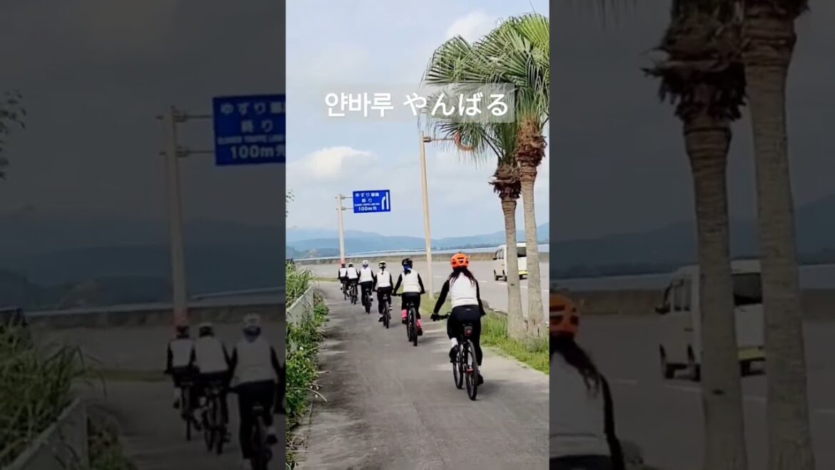 #japan #okinawa #travel #cycling #kyklos #키클로스고양 #고양자전거학교 #일본 #오키나와 #자전거라이딩 #박선영자전거라이딩