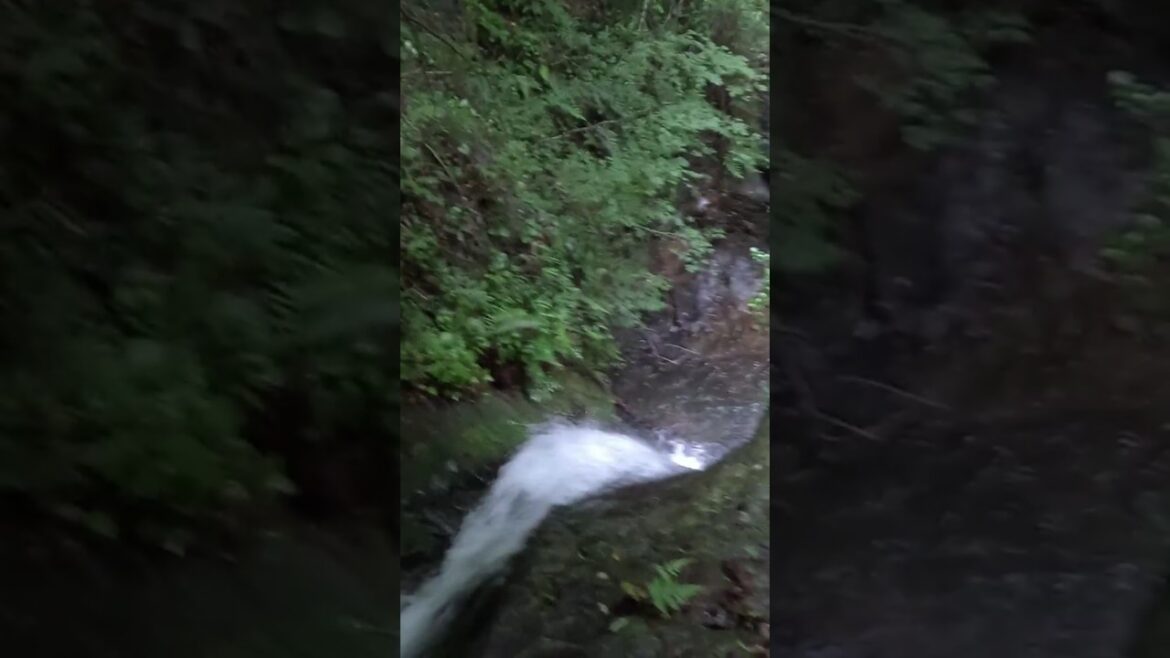 Japanese Countryside – Waterfall in Gifu #japan #relaxing #asmr #nature #waterfall Japanese Countryside - Waterfall in Gifu #japan #relaxing #asmr #nature #waterfall