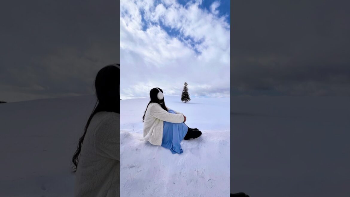 All Christmas Trees are perfect      📍Biei, Hokkaido