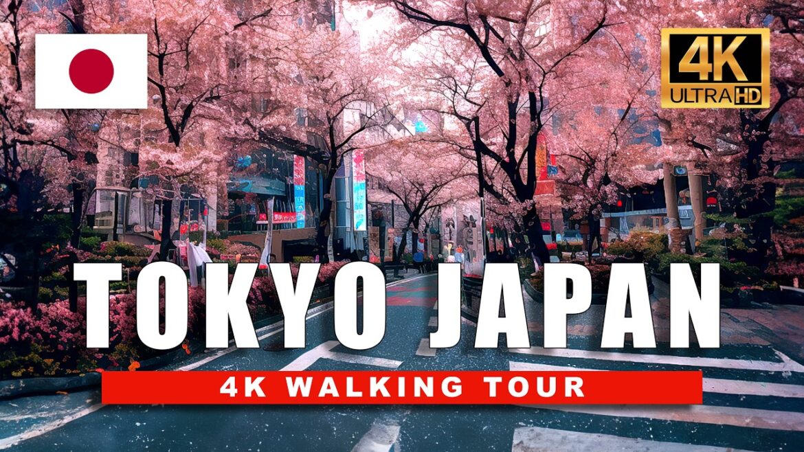4K Tokyo Spring Walk 🌸 Cherry Blossoms Cover the City in Pink! 4K Tokyo Spring Walk 🌸 Cherry Blossoms Cover the City in Pink!
