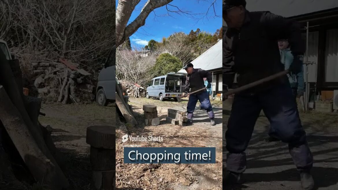 #greentourism #choppingwood #farmexperience #recycling #chiba #japan #tourismguide #shorts #greentourism #choppingwood #farmexperience #recycling #chiba #japan #tourismguide #shorts