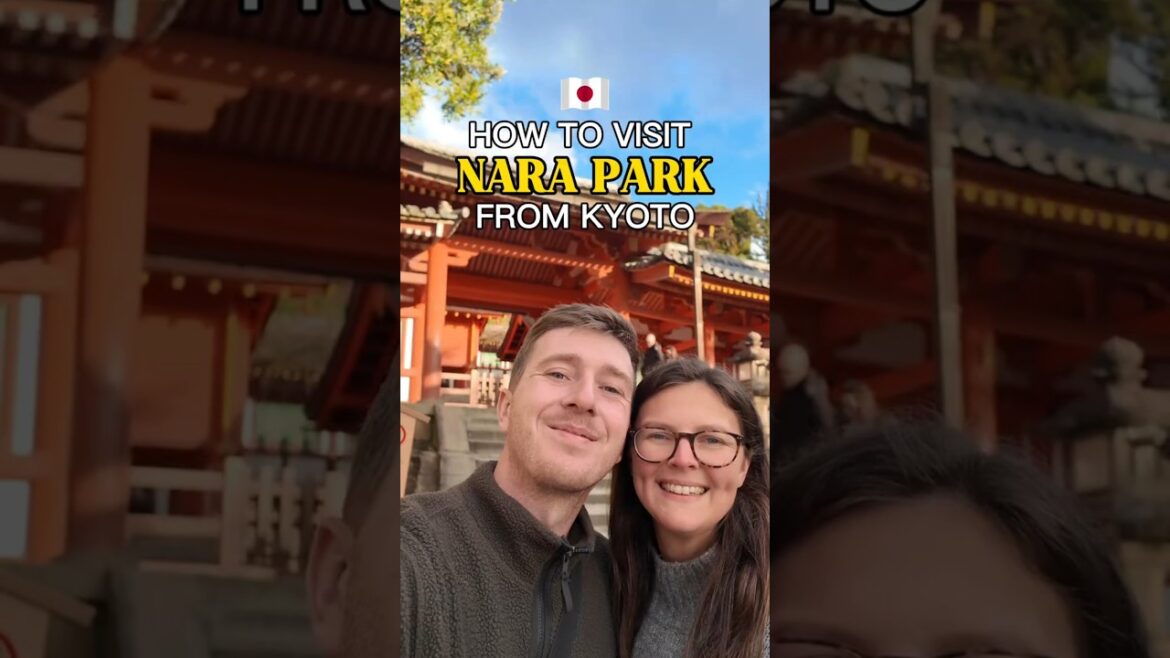 Day trip from Kyoto to NARA PARK 🦌Japan travel vlog #kyoto #japan #japantravel #traveltips