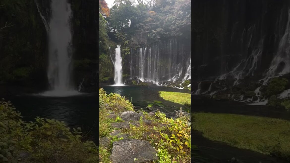 Japan being Japan | #travel #japan #fujinomiya #fuji #vlog Japan being Japan | #travel #japan #fujinomiya #fuji #vlog