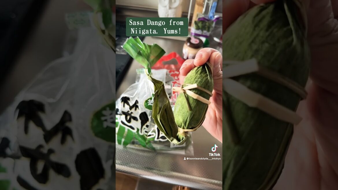 #niigata local delicacy “Sasa Dango” #afternoon #favorite this one.  #sweetbeans #ytshorts #tuesday