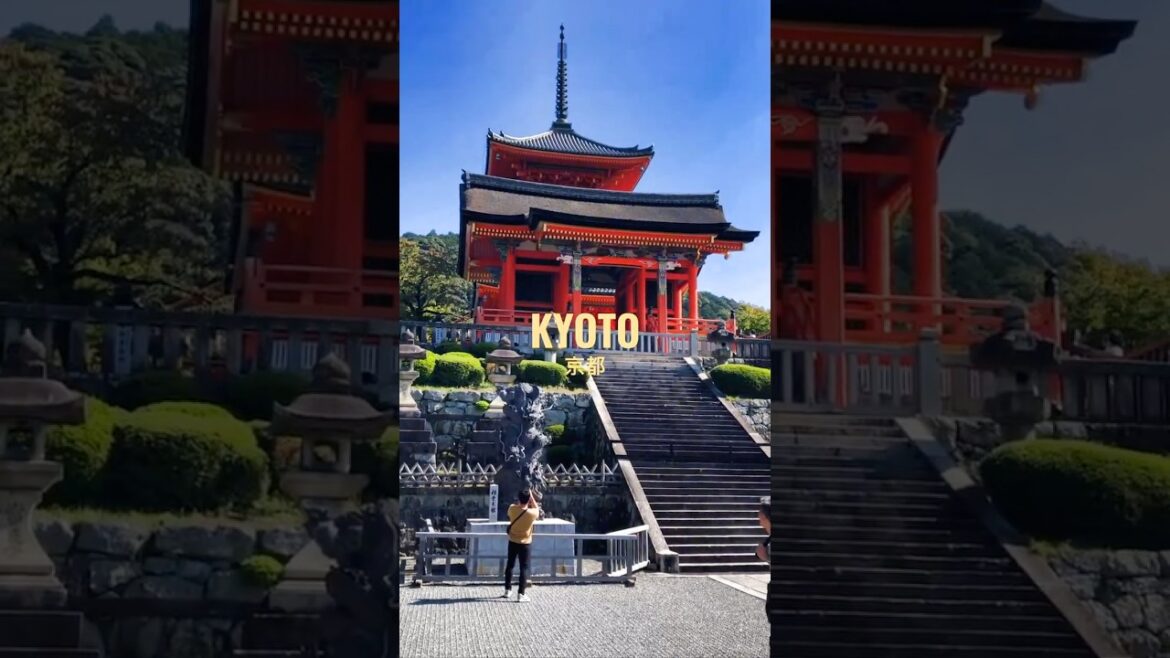 Kyoto, Japan 🇯🇵2  #shorts #travel #japan
