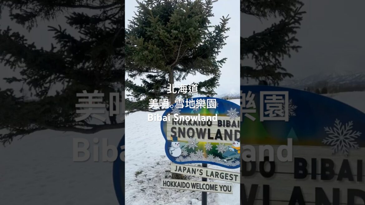 北海道美唄去哪裡？美唄雪地樂園 Bibai Snowland #7000日圓 #無限暢玩