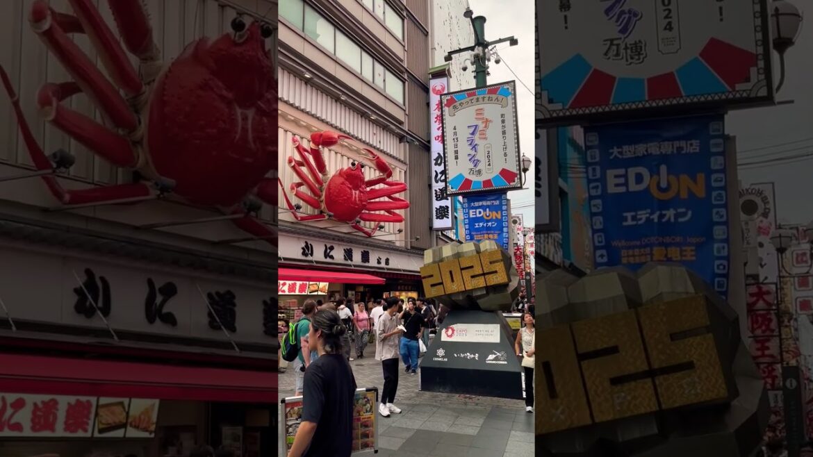 Dotonbori, Osaka 🦀🇯🇵