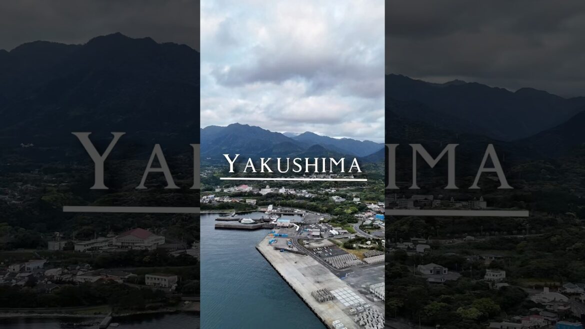 Zurück auf Yakushima 🐒💚 #japan #yakushima #japanreise #ghibli Zurück auf Yakushima 🐒💚 #japan #yakushima #japanreise #ghibli