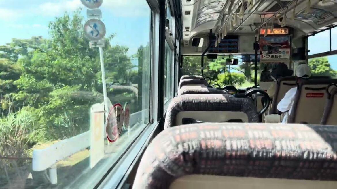 A Bus Drive From Mount Koya