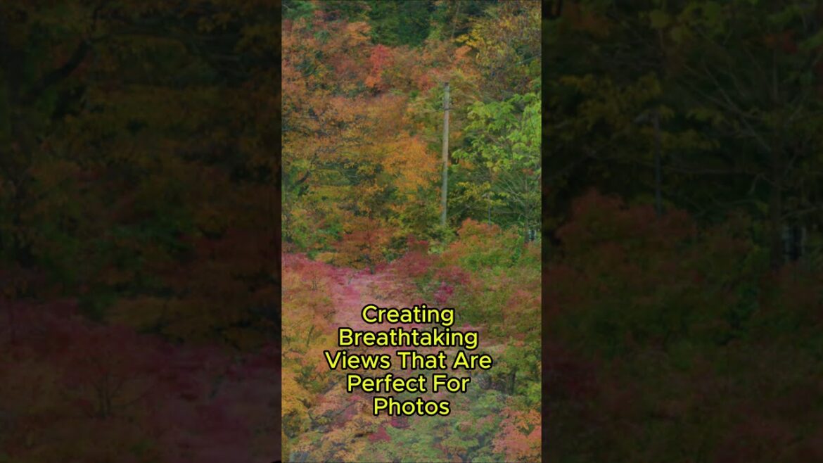 Explore Nakanomomiji-yama Japan’s Breathtaking Autumn Wonderland Explore Nakanomomiji-yama Japan's Breathtaking Autumn Wonderland