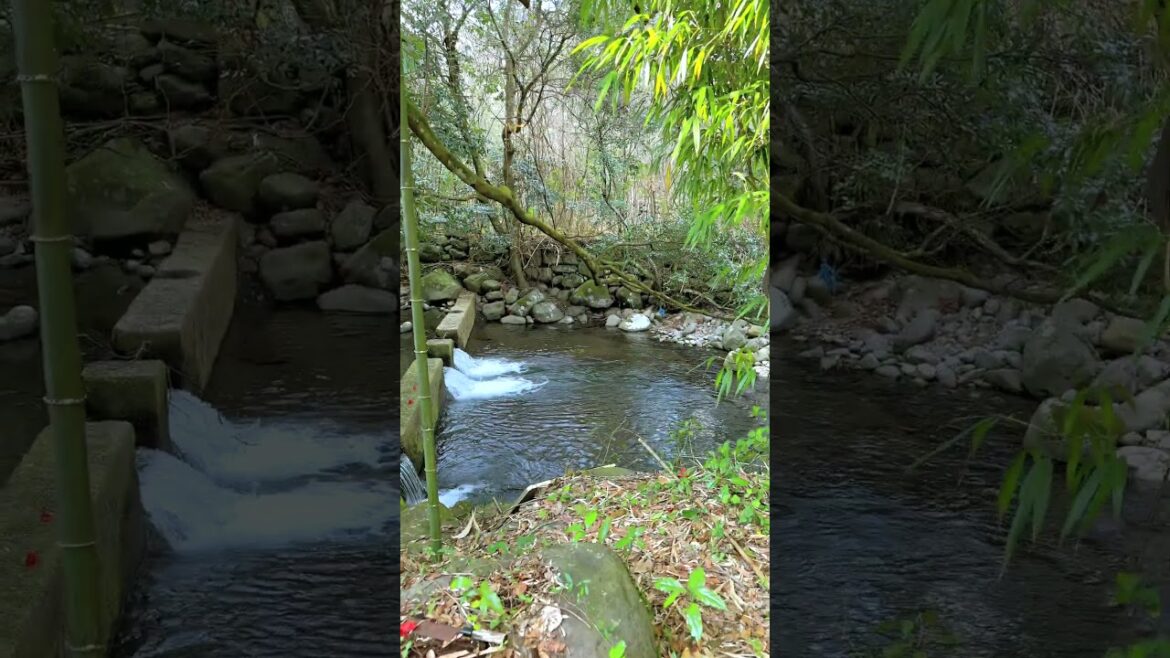 Beautiful mountain village scenery, Minamata, Kumamoto, Japan. #japanesecountryside