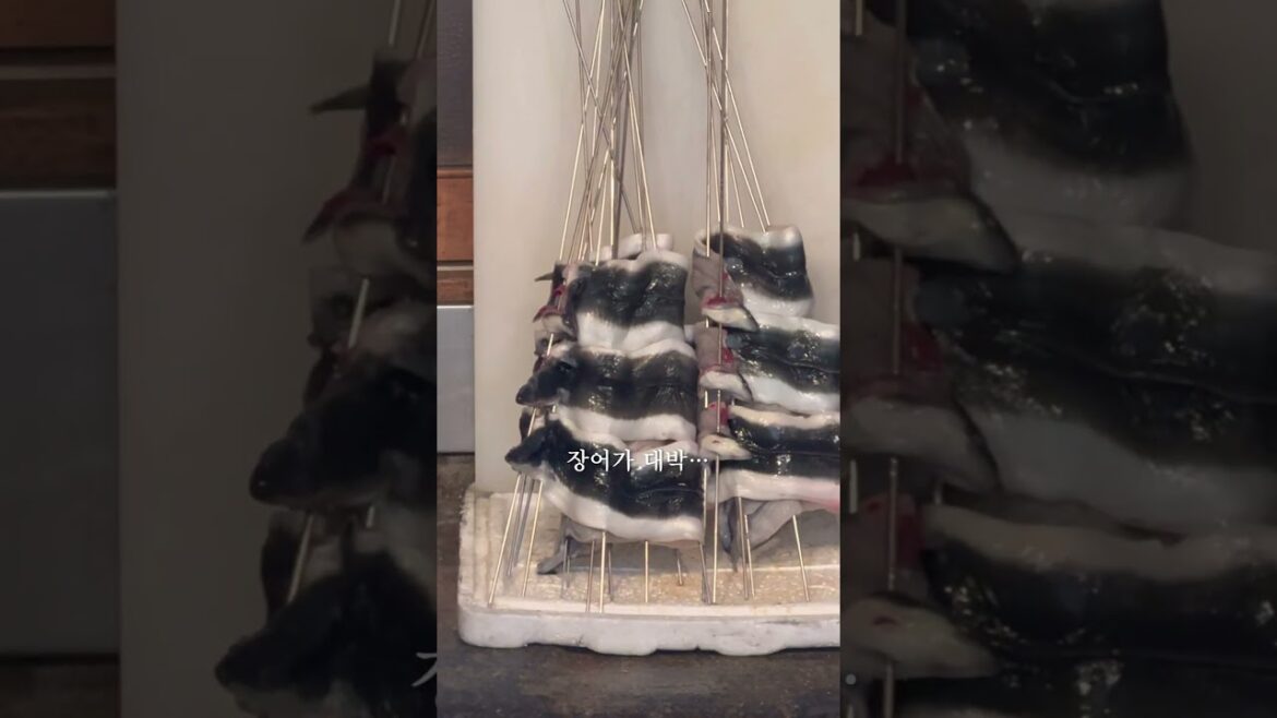 #오사카 #오사카맛집 #일본맛집 #일본음식 #오사카오픈런 #오사카장어 #오스카장어덮밥 #오사카필수 #오사카꼭먹어야하는곳