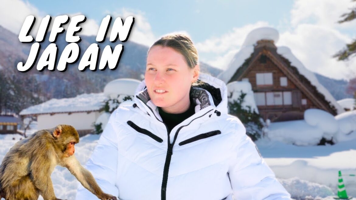 ❄️ WINTER IN JAPAN ❄️