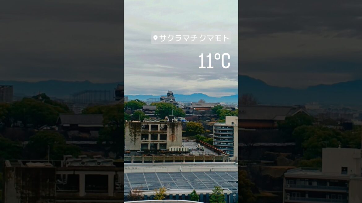 遠眺熊本城。#熊本 #熊本城 #熊本観光 #kokohotelpremier熊本 #kumamoto