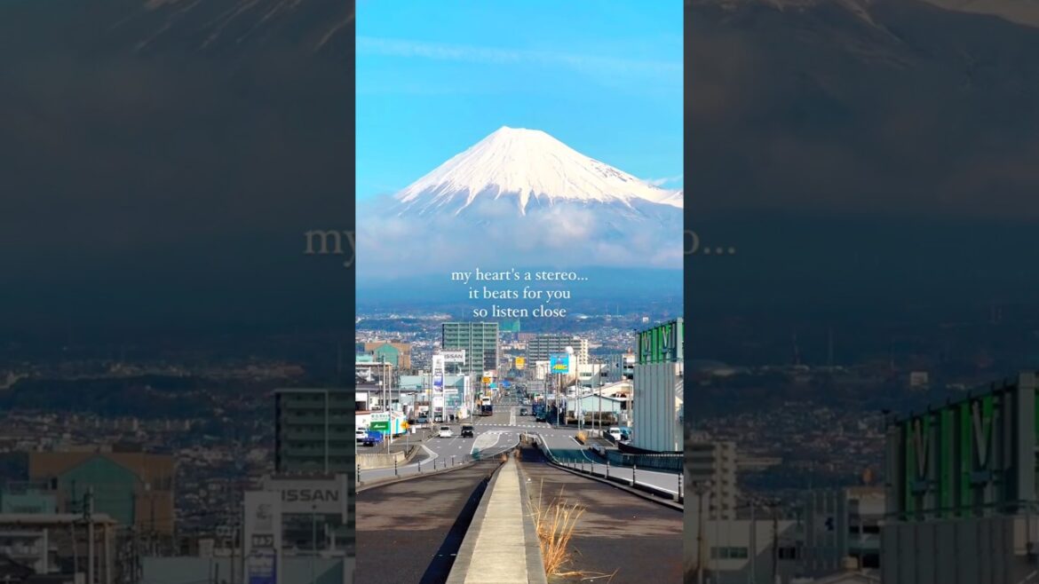 Mount Fuji viewing location now closed to public?