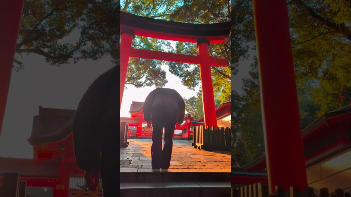 일본역사상 스님이랑 미야지가 처음 만난곳 “宇佐神宮” 일본역사상 스님이랑 미야지가 처음 만난곳 "宇佐神宮"