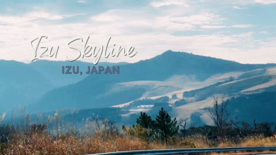 a day trip worth doing | exploring Izu Skyline | 伊豆スカイラインでのスリル満点の冒険