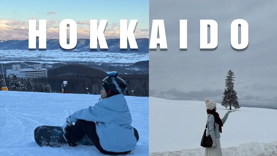 JAPAN vlog | Snowy Otaru, Snowboarding, & Penguin Parade in Asahikawa 🐧☃️