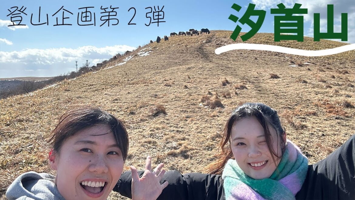 【函館】ハコチャの気まぐれ登山｜汐首山チャレンジ