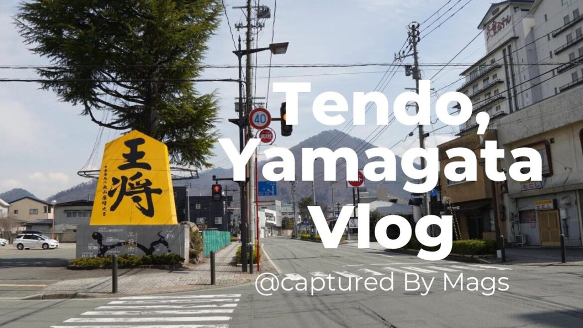 Tendo Onsen, Yamagata | Country-side Onsen | 258 years old Soba Noodle Restaurant | 天童市, 山形縣 ♨️⛰️🚅