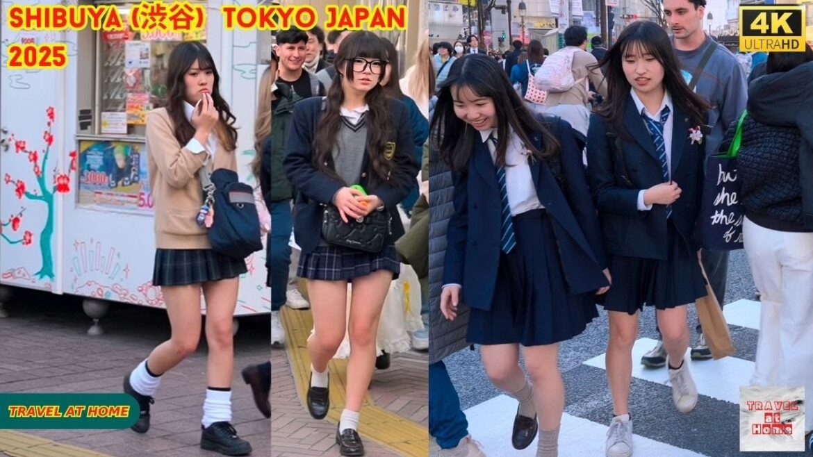 4k hdr Japan travel 2025 | Walk in Shibuya (渋谷) Tokyo Japan |  Relaxing Natural City ambience