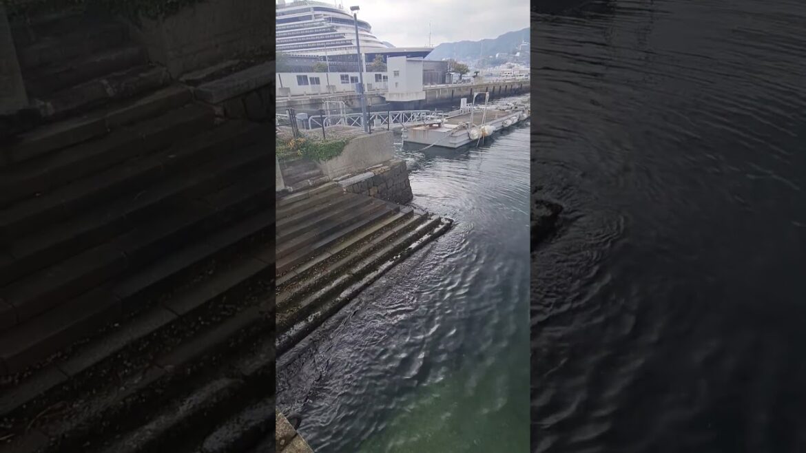 Nagasaki 🇯🇵 #shortvideo #trendingnow #viral #fyp #shorts  #subscribe #travel #reels #nature #ofw