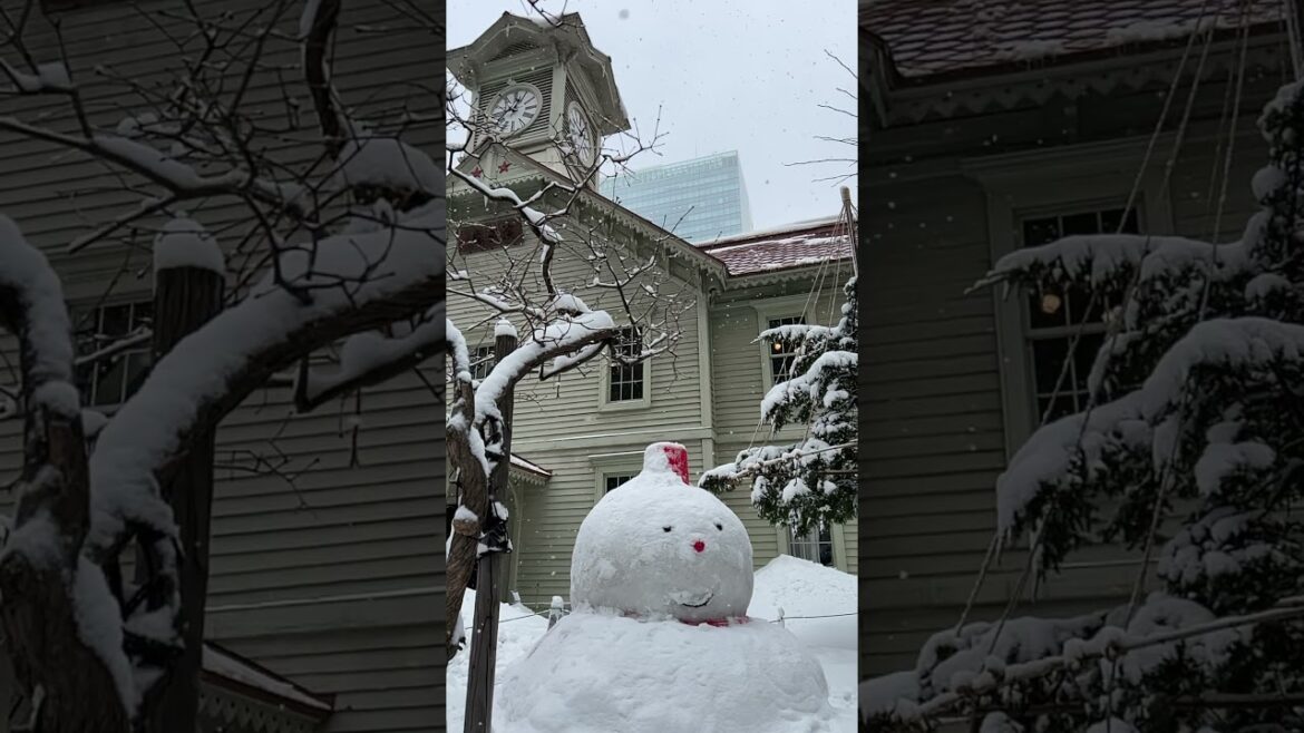 Snowing ☃️🌨️ #winter #snow #sapporo #hokkaido #japan