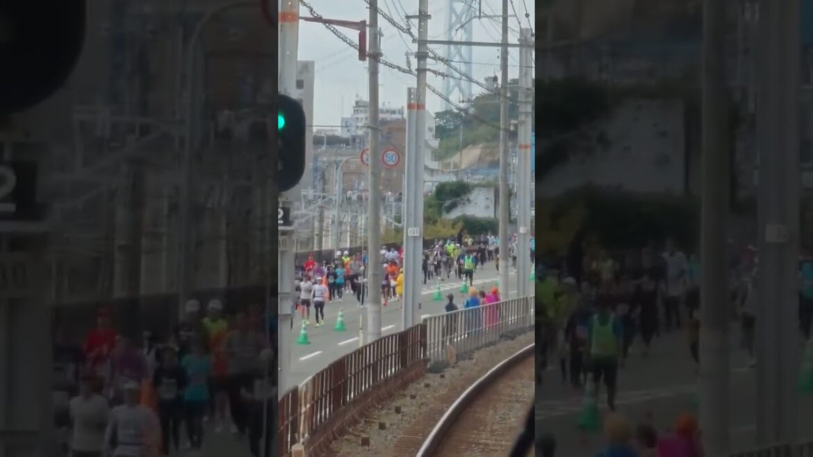 神戸市内がエライことに (神戸マラソン2024) Akashi Kaikyo Bridge and Kobe Marathon (Kobe City, Japan)