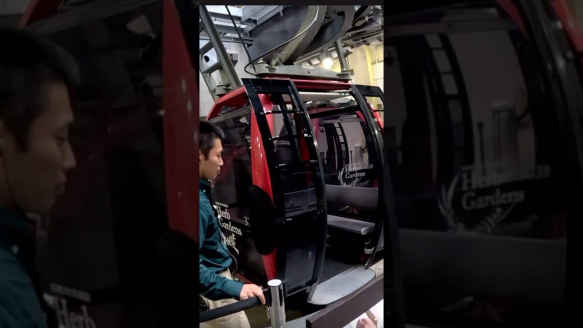 $13 Gondola in Japan 🇯🇵