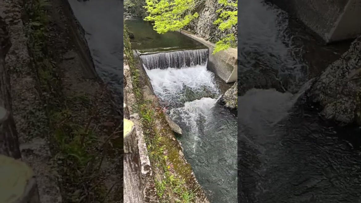 BEAUTIFUL Water Way At Minoh Falls, Osaka, Japan!!