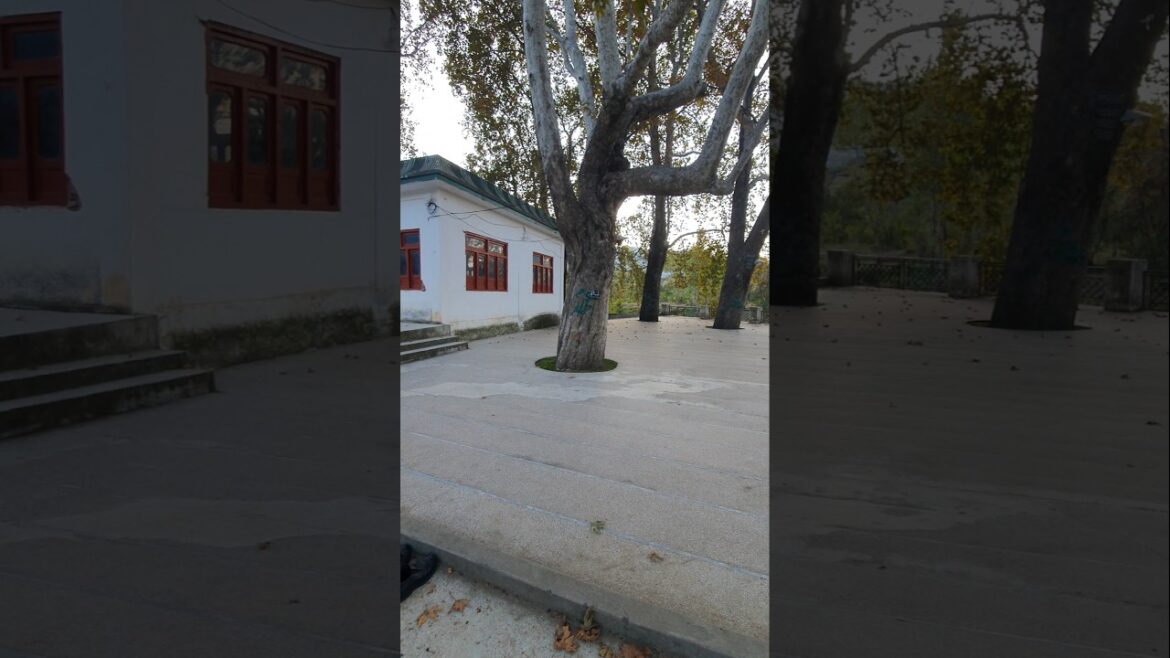 old masjid zara chena kokarai ❤❤ #nature #masjid #youtubeshorts #foryou #oldmasjid #history