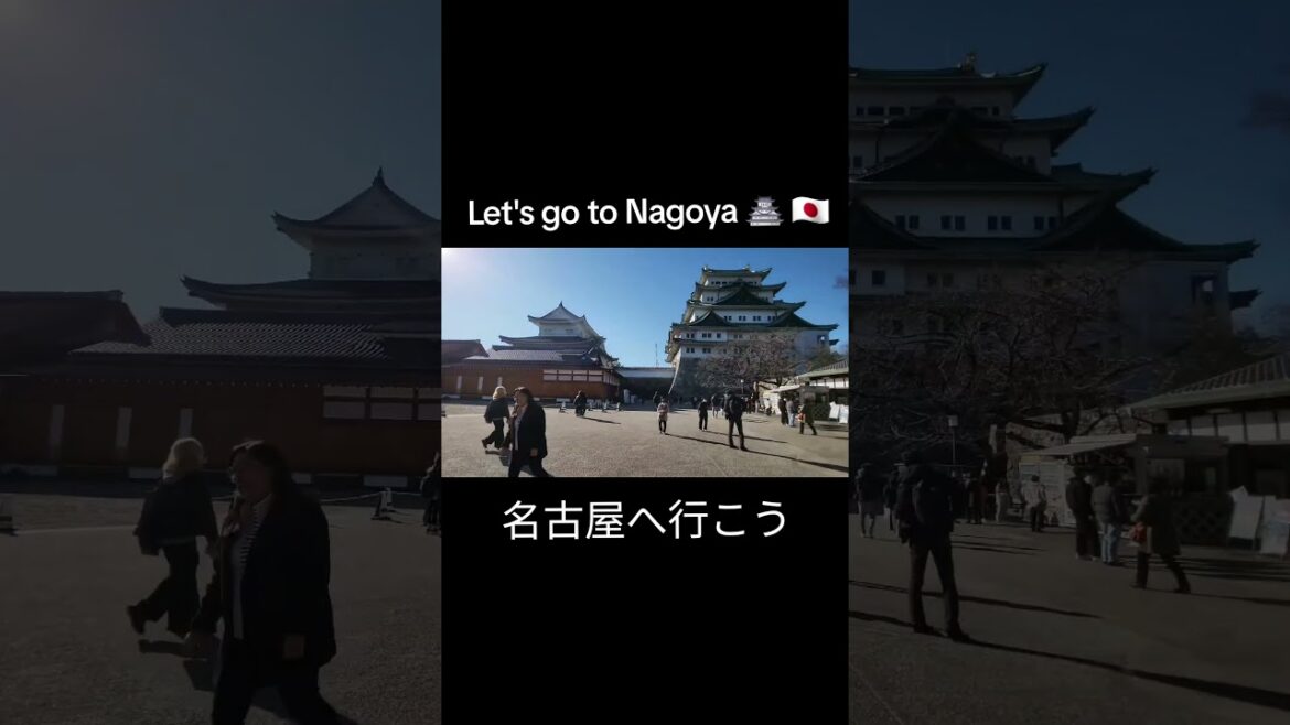 Let's go to Nagoya #nagoya #travel #japan #japaneseculture #japanesefood #nagoyacastle #nagoyatower