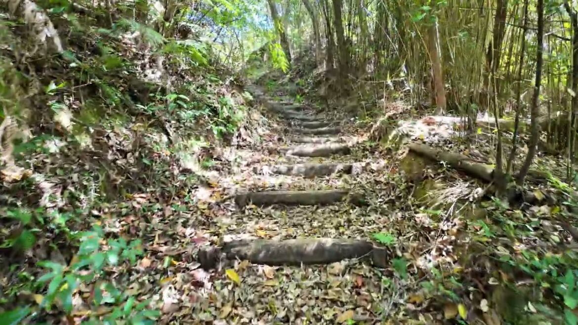 Okinawa #2 Okinawa #2