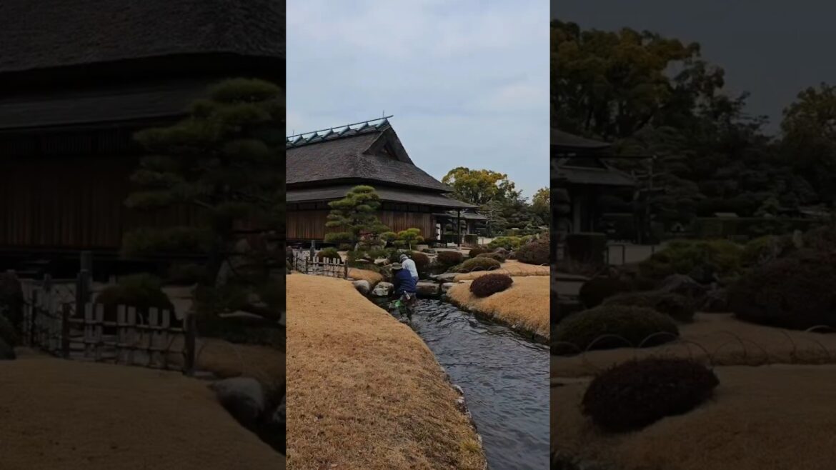 πΈ Japan Vibes β Food, Culture, & Scenic Views! π―π΅β¨#japan #travel #asiantravel πΈ Japan Vibes β Food, Culture, & Scenic Views! π―π΅β¨#japan #travel #asiantravel