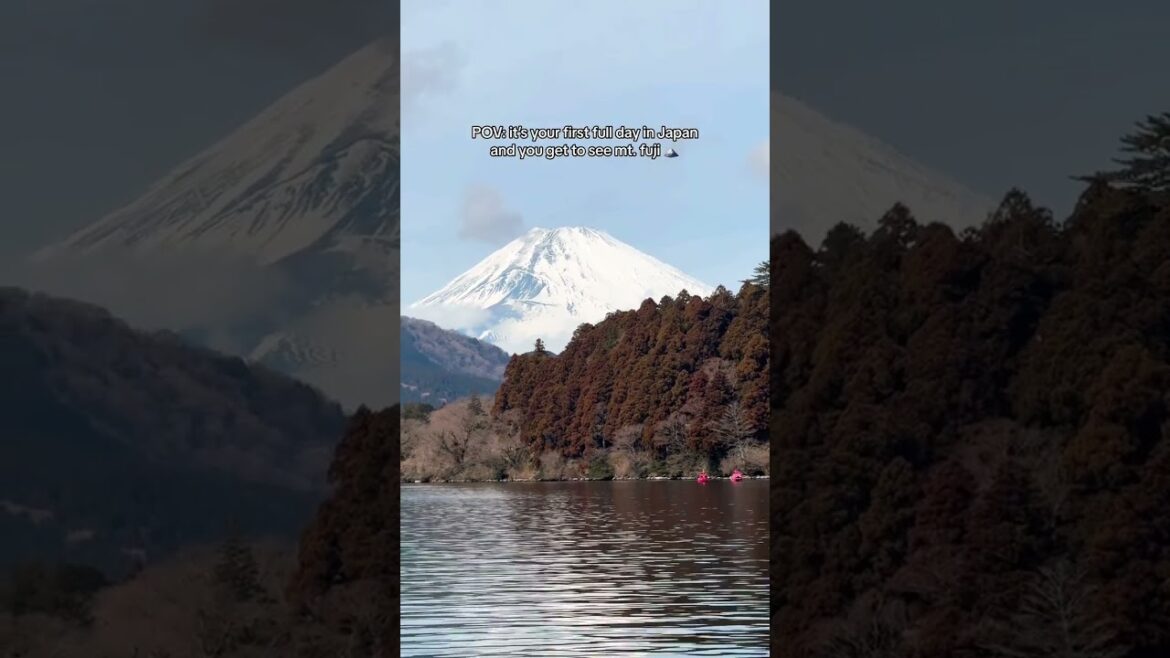 What a view 🗻 #fuji #hakone #shortstravel #travelshorts #shorts #japantravel #japanlife #mountfuji
