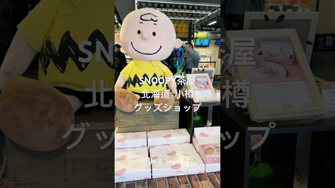 北海道小樽去哪裡？SNOOPY茶屋 #小樽店 グッズショップ