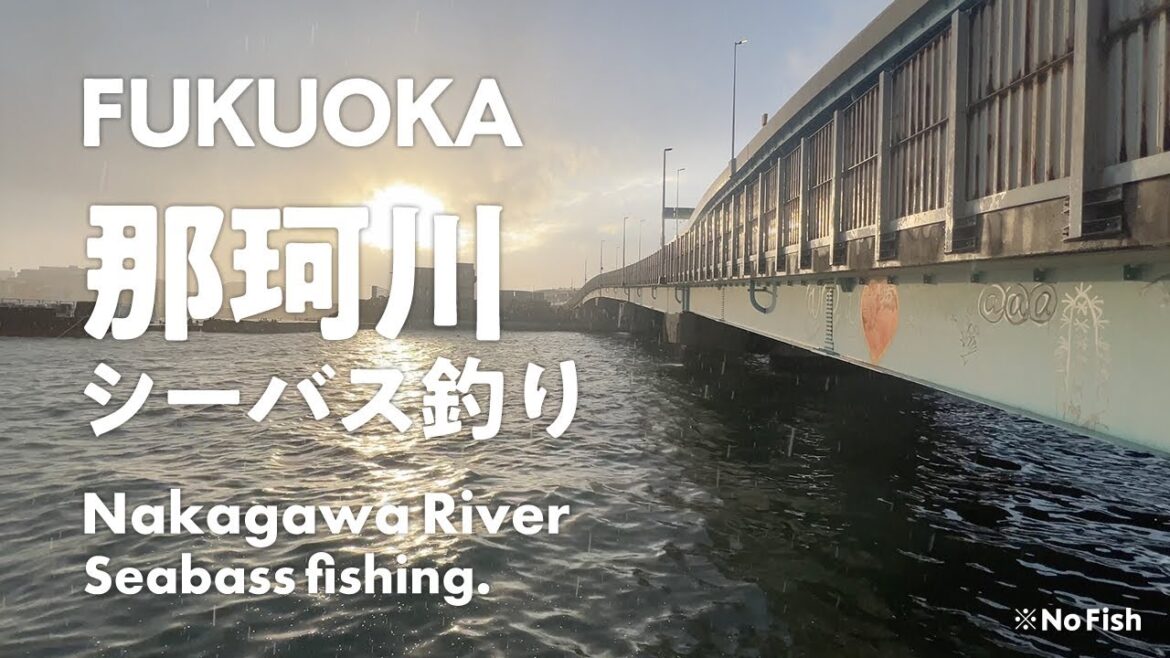 FUKUOKA博多区の那珂川でシーバス釣り!電車で行けるポイントなどを紹介/Seabass Fishing at the Nakagawa River in Hakata,Fukuoka! FUKUOKA博多区の那珂川でシーバス釣り!電車で行けるポイントなどを紹介/Seabass Fishing at the Nakagawa River in Hakata,Fukuoka!