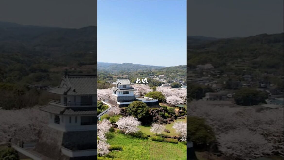 桜×城×海、この絶景どこ！？