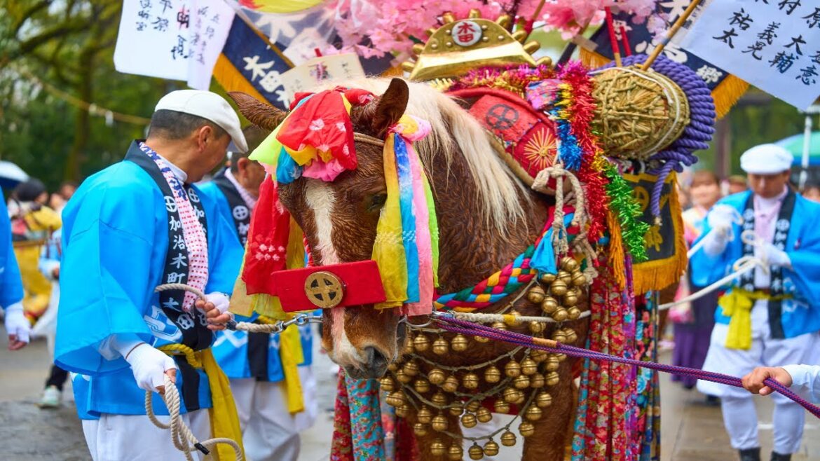 Horse Dance Festival of Kagoshima, Japan! 初午祭 Hatsuuma Festival. Explore Make Art. Horse Dance Festival of Kagoshima, Japan! 初午祭 Hatsuuma Festival. Explore Make Art.