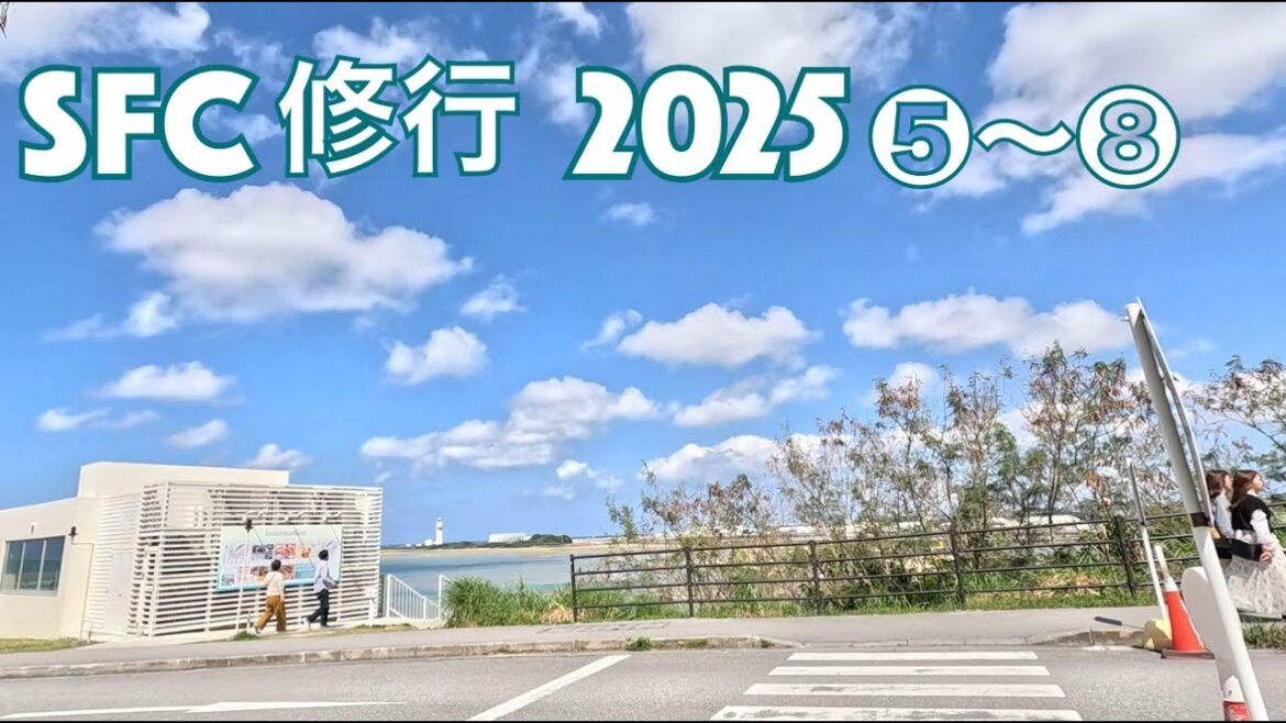【SFC修行⑤〜⑧】Okinawa day trip 羽田沖縄３往復と羽田伊丹１往復