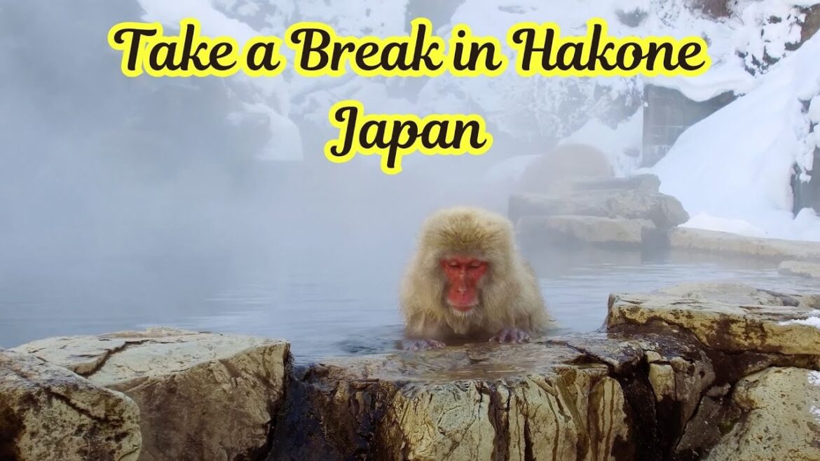 Hakone, Take a Break during a Japan Trip #Onsen#Fuji#Ryokan#Suiun#JapaneseFoods#Beer#Wine#Kimono