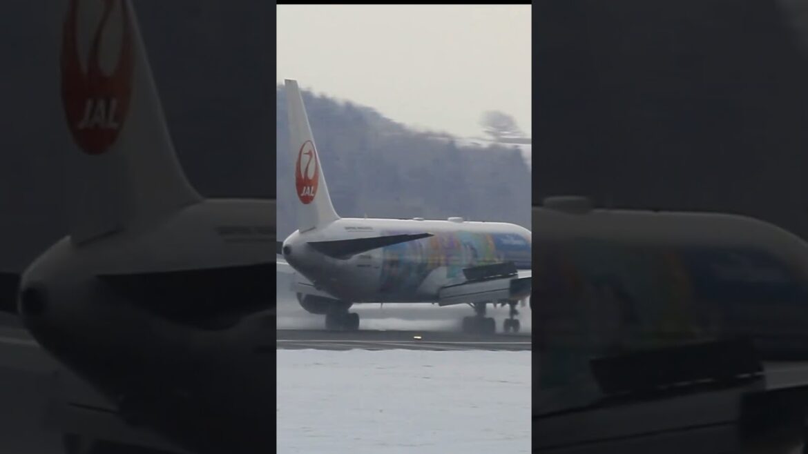 函館空港　湿り雪の中着陸JAL Fantastic Journey Express Boeing 767-346 (ER)