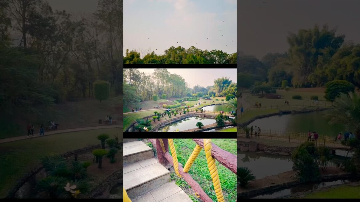 Okayama Friendship Garden,Pune.#garden  #okayama #punetravelvlog #nature #ytshort #viralshorts