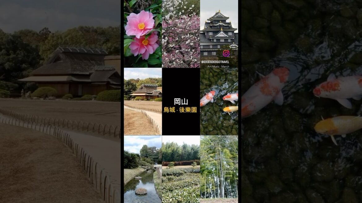 三月的日本岡山：烏城和後樂園 #okayama #japan  #korakuen #烏城 #後樂園 #日本