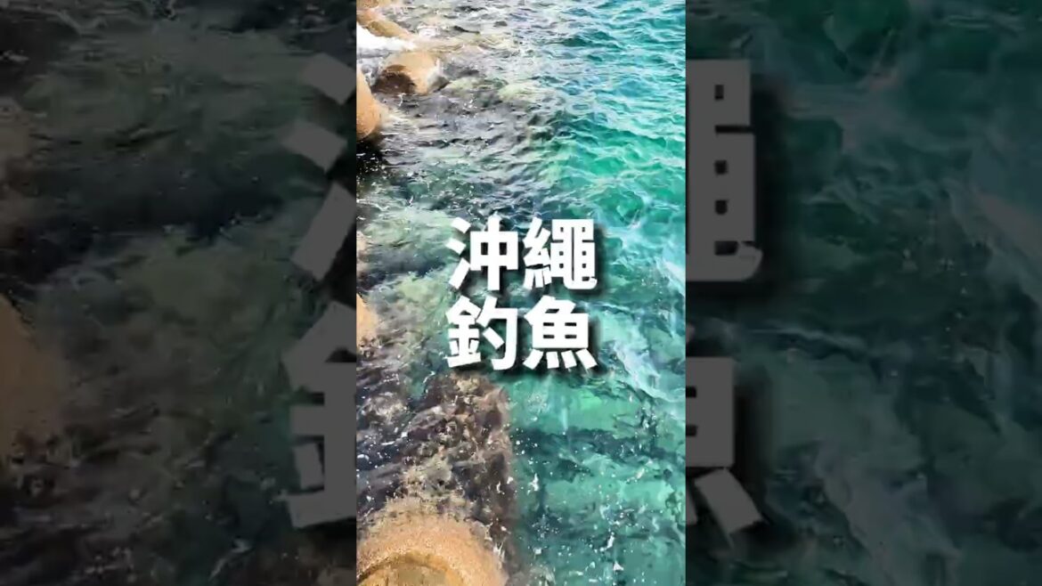 沖繩名護釣魚點#okinawa