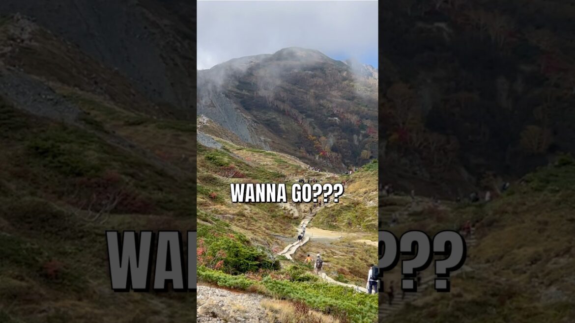 Solo Day Hike in Japan #japan #travel #hiking #nagano #hakuba #mountains #nature #adventure #autumn